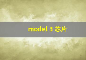 model 3 芯片